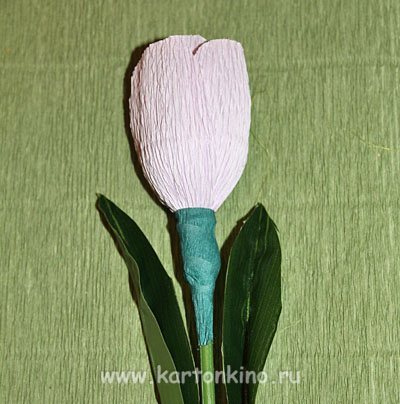 Тюльпан. Все о тюльпанах для детей - Фотоотчет об изодеяльности «Букет тюльпанов в вазе»